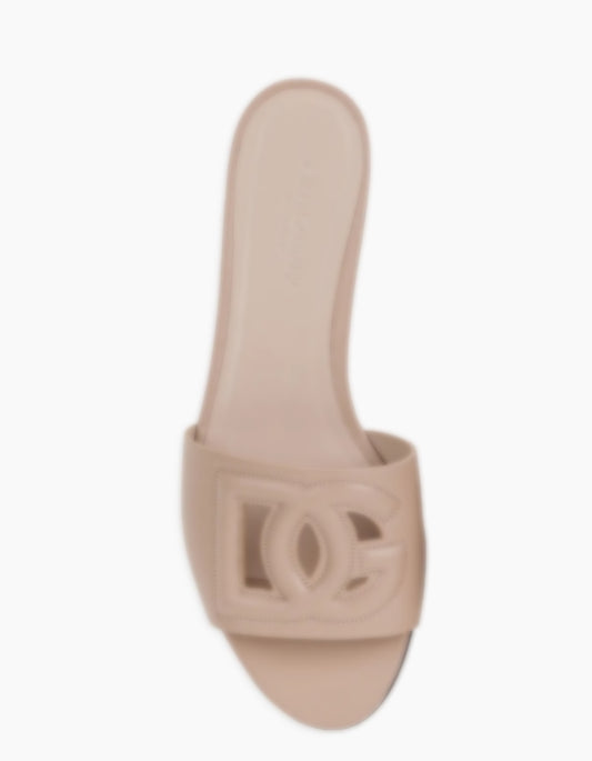 DG-3000